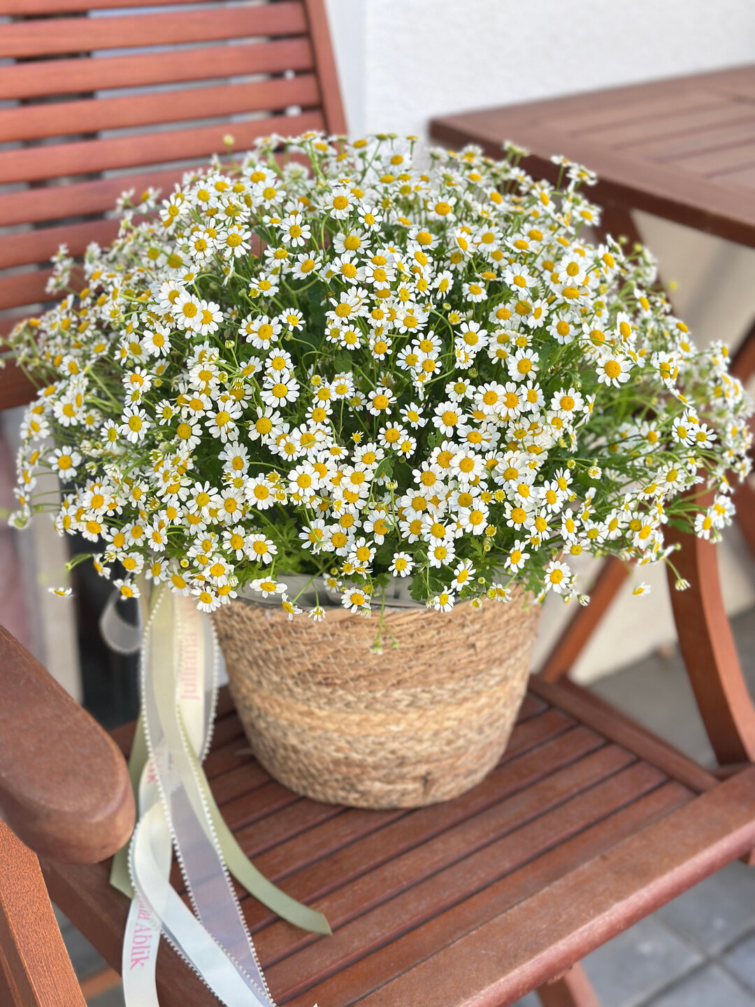 Корзина кустовых ромашек
