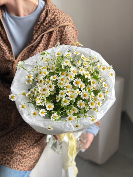 Букет кустовых ромашек